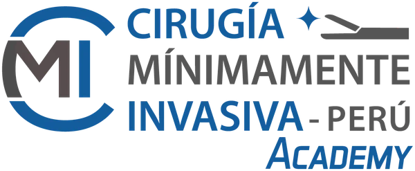 Cirugía Mínimamente Invasiva Perú · Academy
